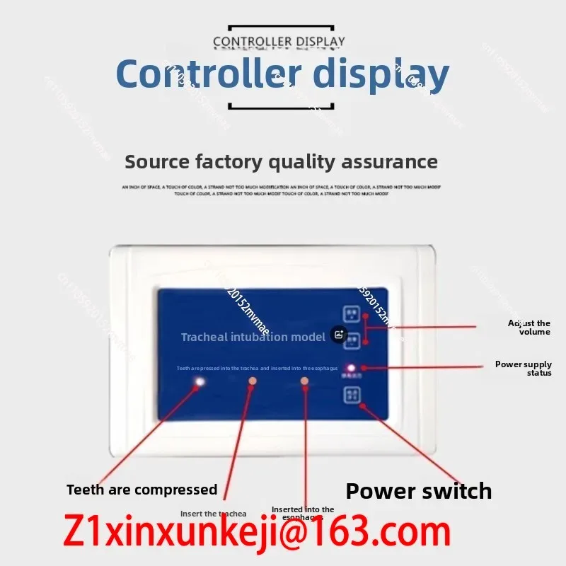 인기 판매 중인 인간 전자 기관삽관 훈련 모델 (치아  - Diy Electronics To Sell 리뷰 및 가격