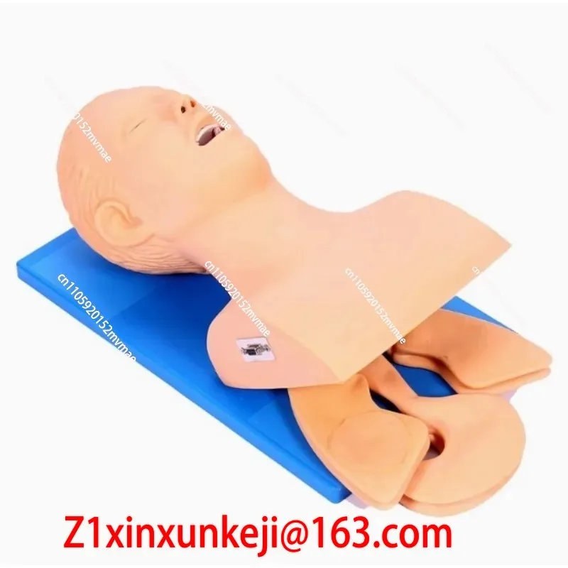 인기 판매 중인 인간 전자 기관삽관 훈련 모델 (치아  - Diy Electronics To Sell 리뷰 및 가격