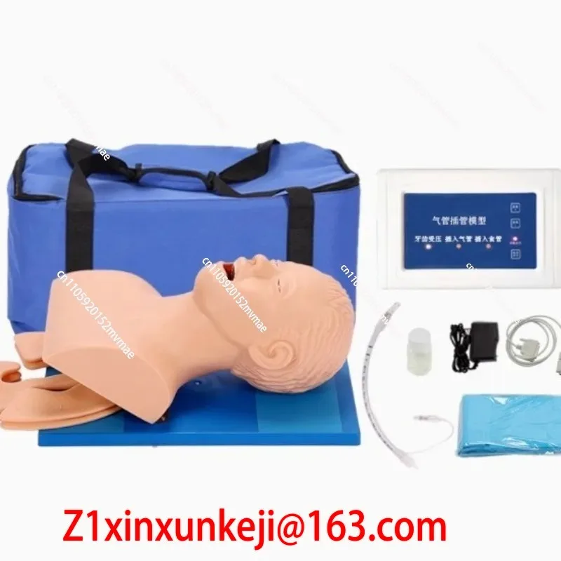 인기 판매 중인 인간 전자 기관삽관 훈련 모델 (치아  - Diy Electronics To Sell 리뷰 및 가격